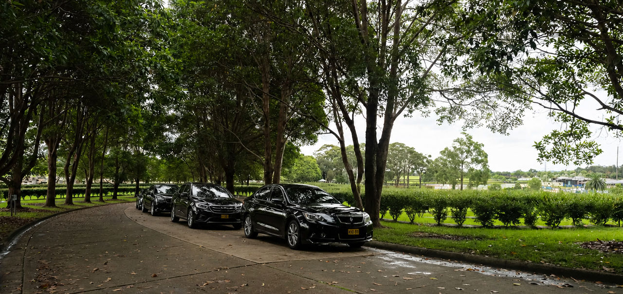 hearse at memorial park